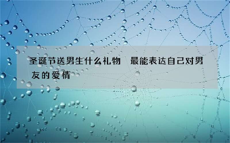 圣诞节送男生什么礼物 最能表达自己对男友的爱情